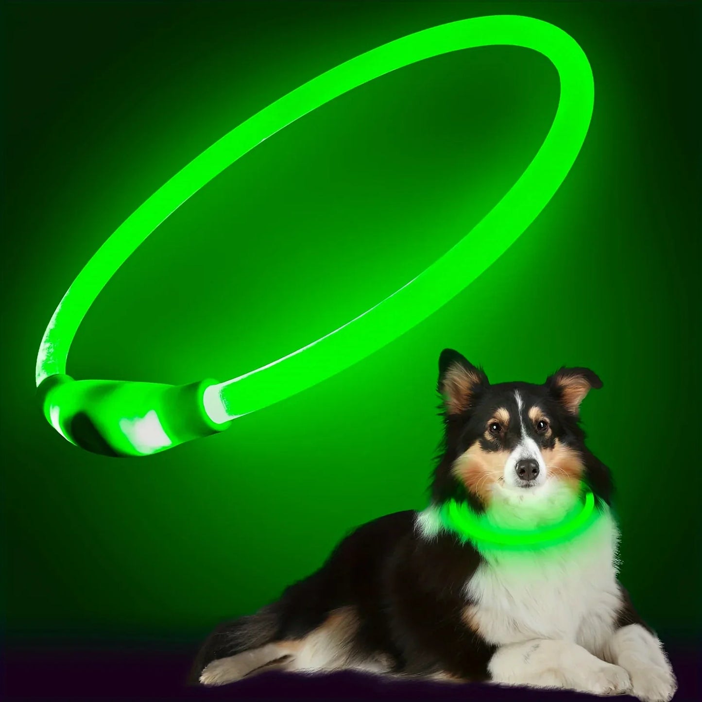 GlowPup™ LED Clip-On Safety Light