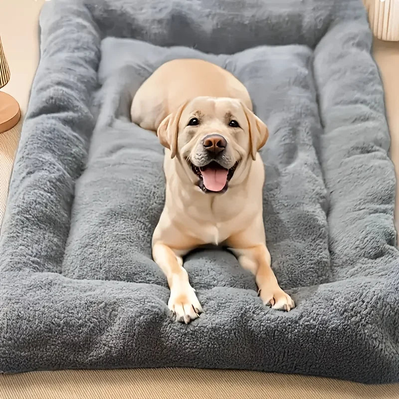 GlowPup™ Cooling Dog Mat