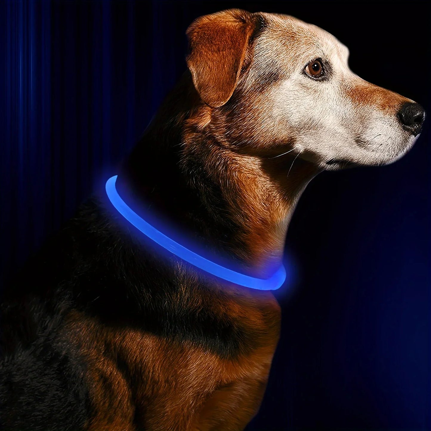 GlowPup™ LED Clip-On Safety Light