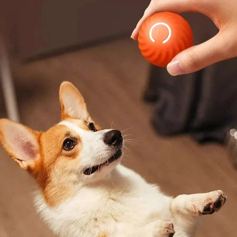 GlowPup™ Interactive Motion Dog Toy Ball